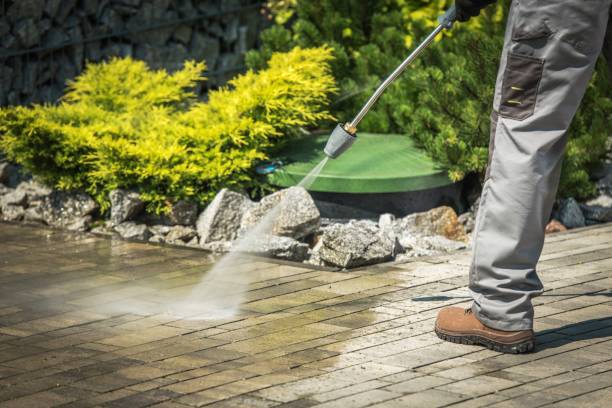 Best Roof Washing  in Parsippany, NJ