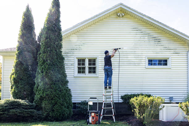 Best Solar Panel Cleaning  in Parsippany, NJ